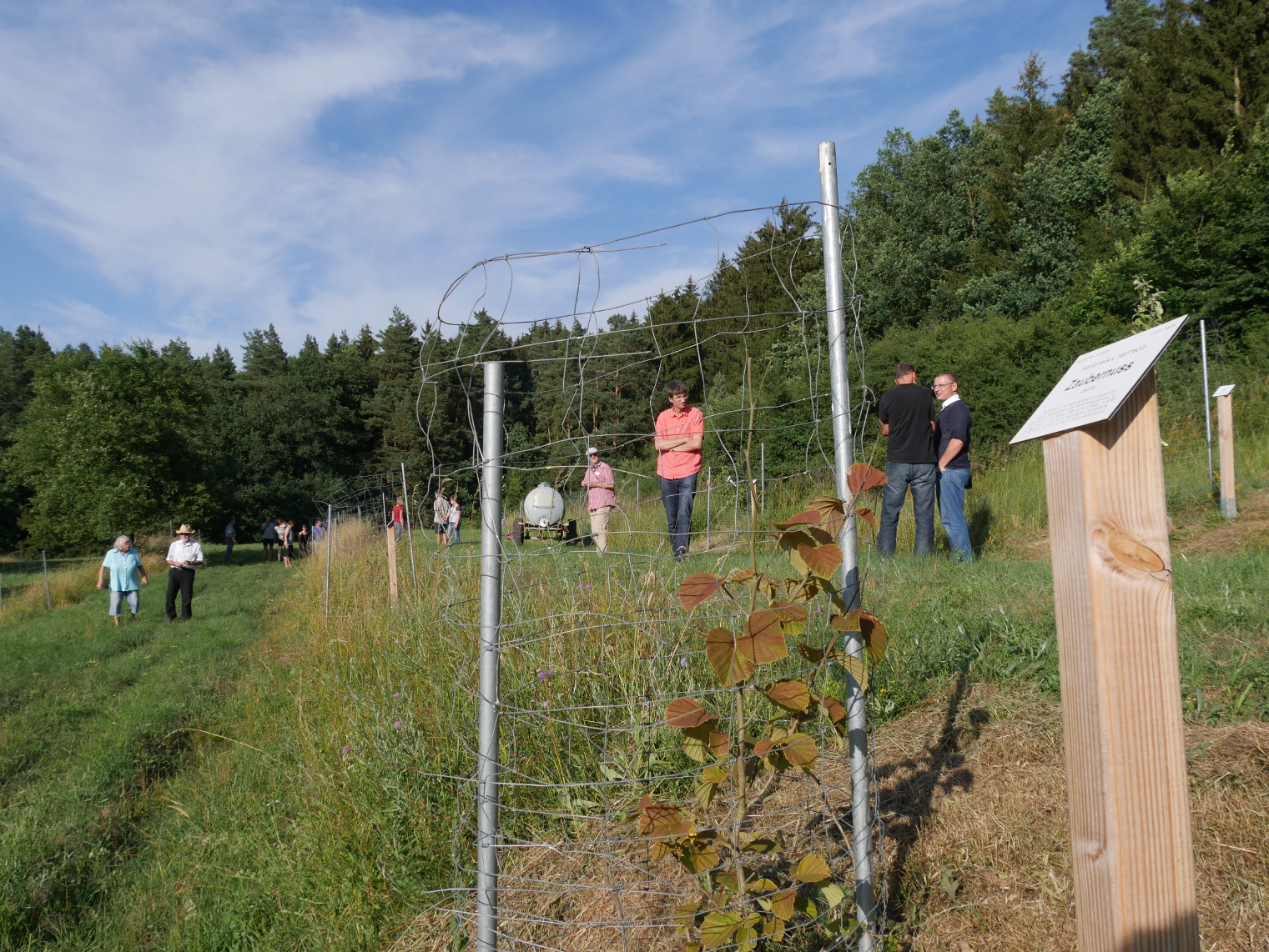 30+ Nicole Aus Sonneberg Hat Einen Garten In Der Hallstr, Ebay